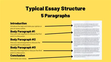 What is 5 Paragraph Essay: A Journey Through Structured Chaos