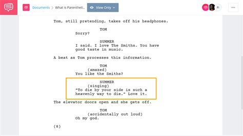 What is Parenthetical in Script Writing: A Dive into the Unseen Narratives